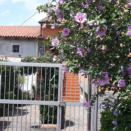 Al Laghetto Basovizza